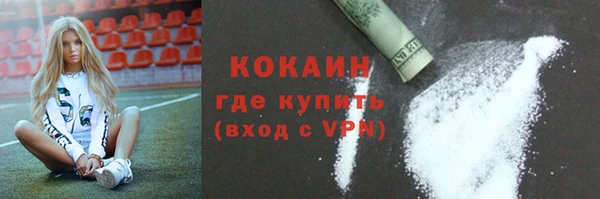 мдпв Вяземский