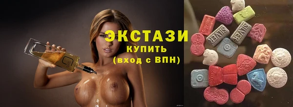 мдпв Вяземский