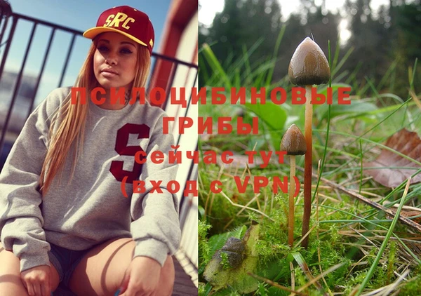 ешки Вязьма