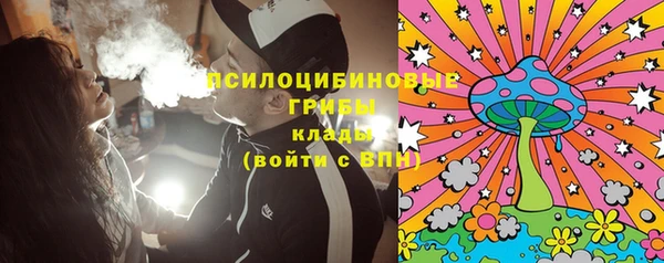 мдпв Вяземский