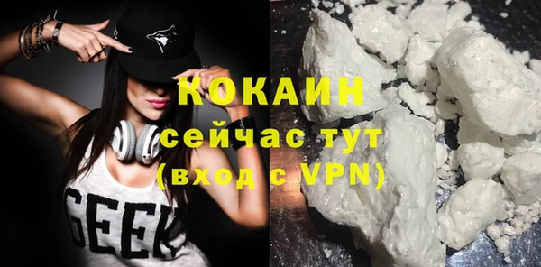 мдпв Вяземский
