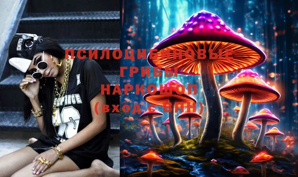 ешки Вязьма